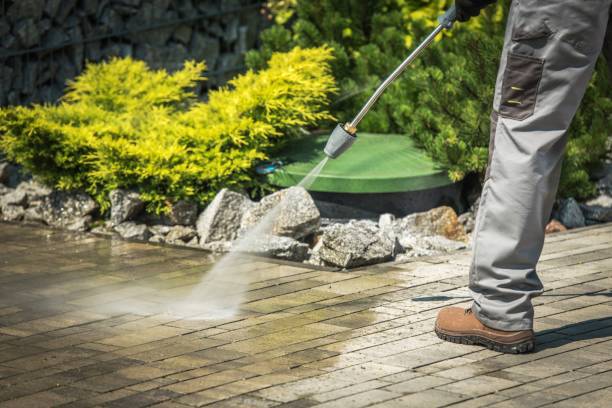 Best Winterizing Services  in Jasmine Estates, FL