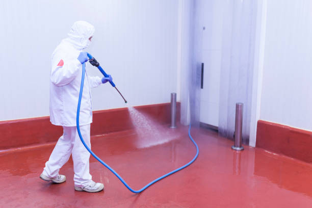 Best Playground Equipment Cleaning  in Jasmine Estates, FL
